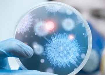 Azione di Parazax Complex contro scorie e tossine