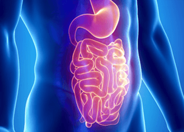 Pulizia intestinale naturale con Parazax Complex